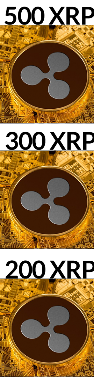 xrp contest winners xrp contest winners